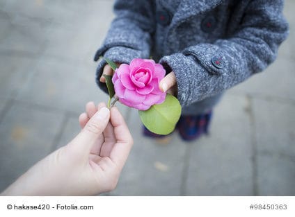 Blume, Hände