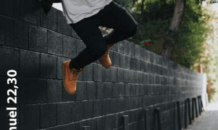 Über Mauern springen – Auf zu neuen Horizonten