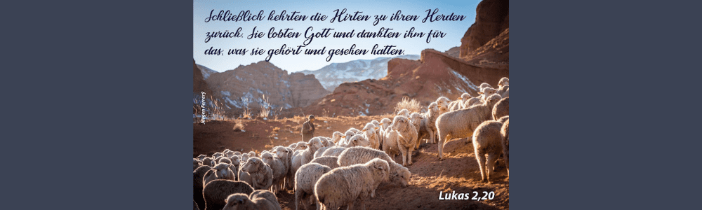 Hirte weidet seine Schafe in den Bergen