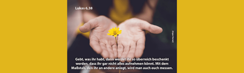 Hände halten eine gelbe Blume