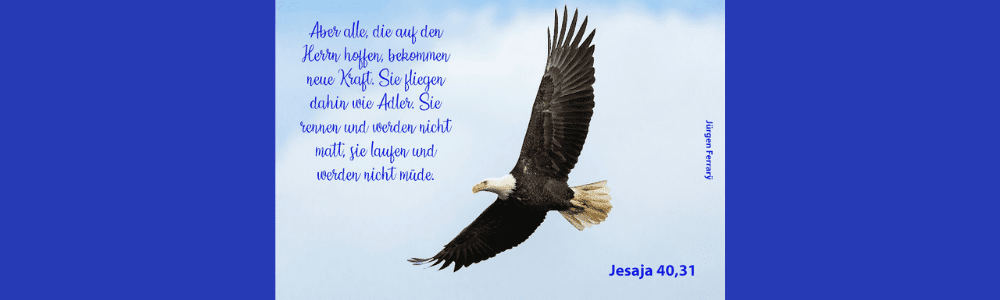 Adler am Himmel mit ausgebreiteten Flügeln