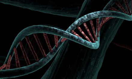 Menschliche Genetik und die Bibel