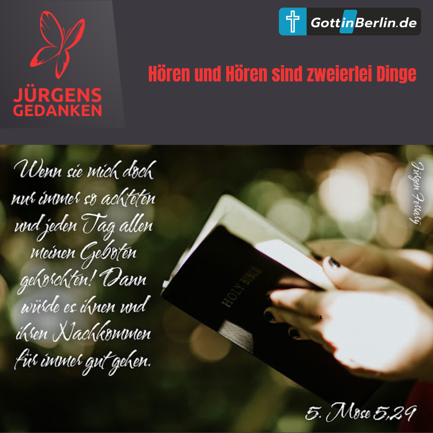 Hände halten Bibel