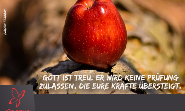 Aber Gott ist treu …